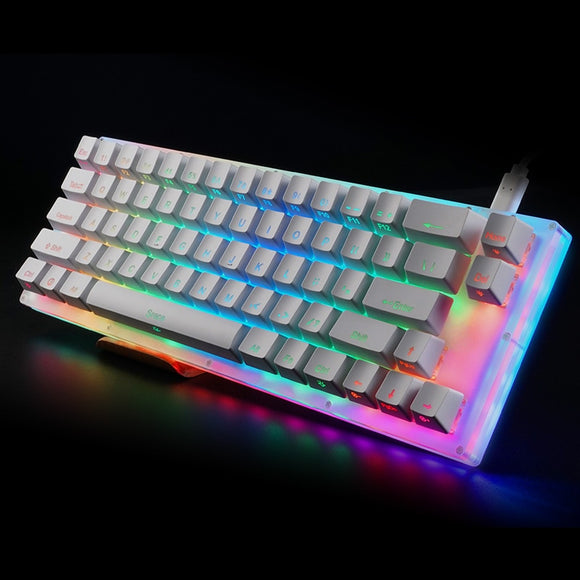 Womier 66 key Custom Mechanical Keyboard Kit 65% 66 PCB CASE how swappable switch support lighting effects with RGB switch led